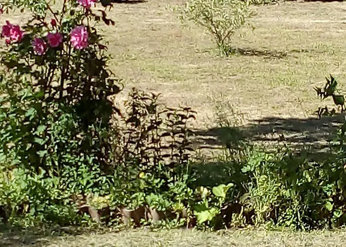 ホームステイ Maison De Village